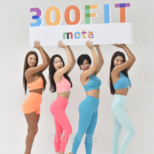 []ӽϾ --ڿ-ѳ `300FIT meta Կ ߾~`